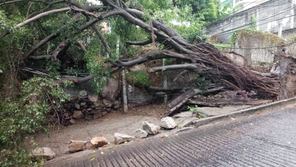 Las lluvias del fin de semana causaron diversas afectaciones