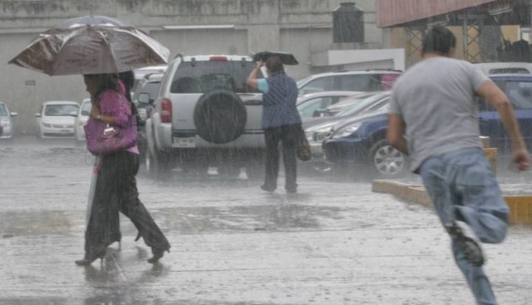 Árboles caídos y un muerto es el saldo dejado por las lluvias en Guerrero