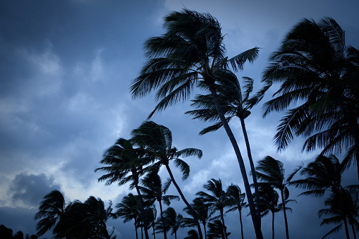 La tormenta tropical “Kay” dejo un saldo de 3 muertos y daños en Guerrero